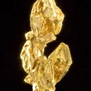 Gold - image 3