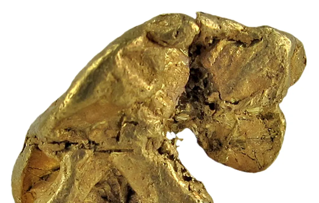 Gold - image 4