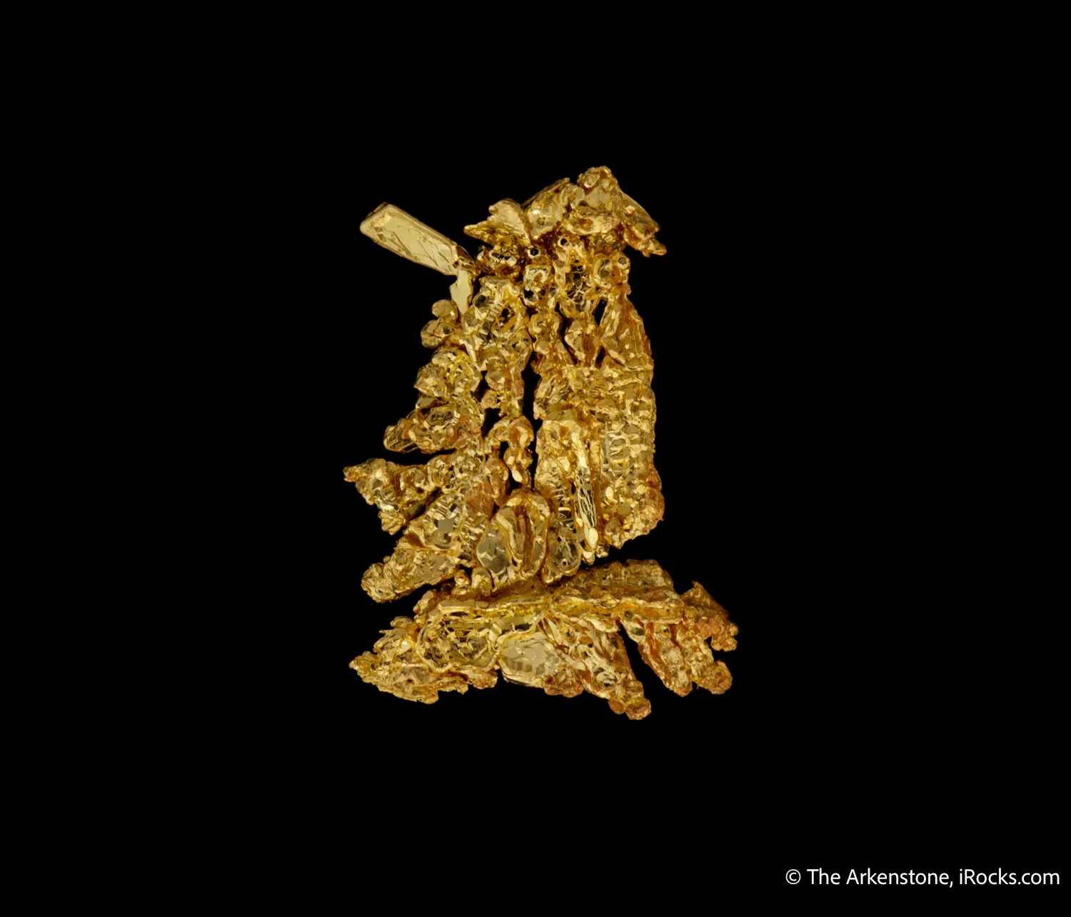 Gold - image 4