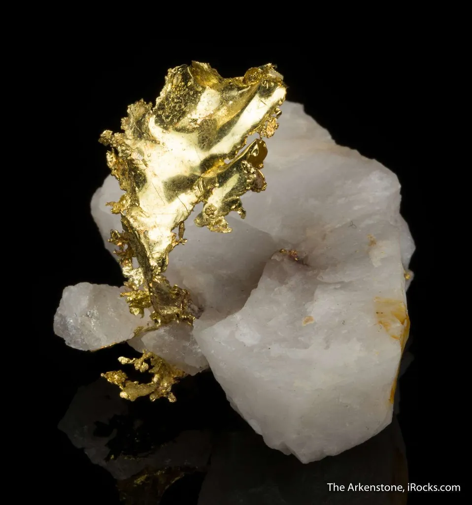 Gold - image 3