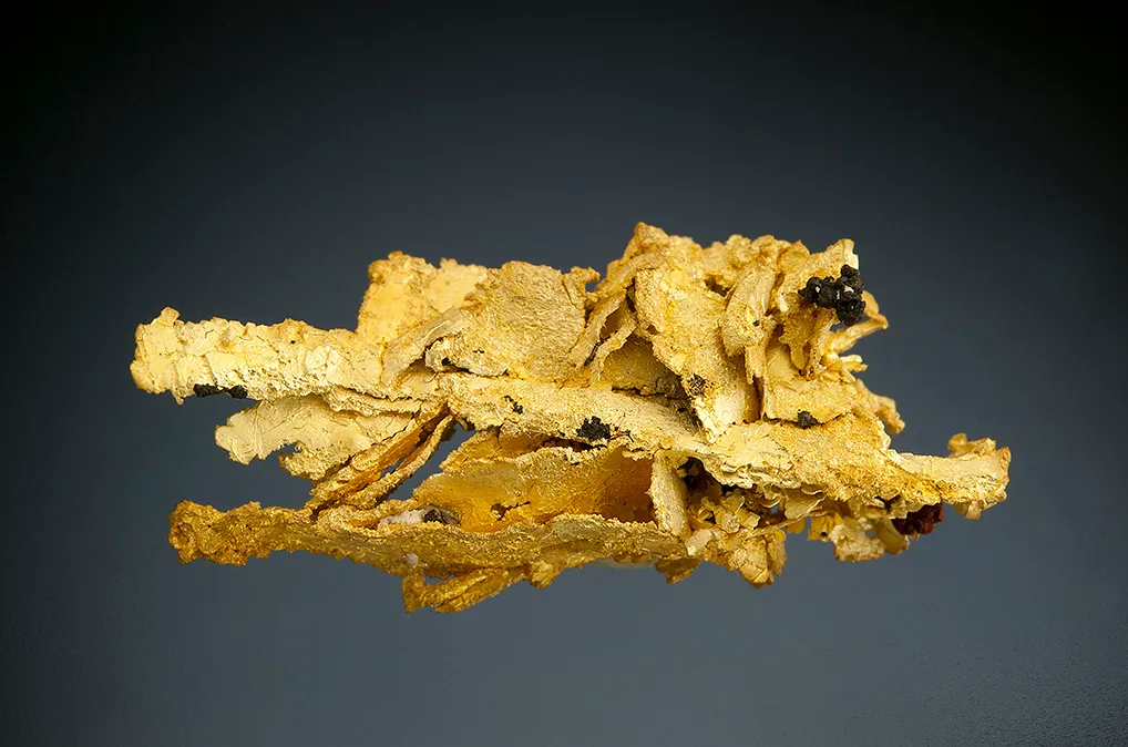 Gold image