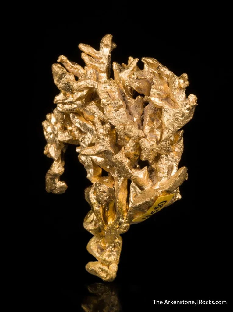 Gold - image 5
