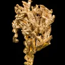 Gold - image 5