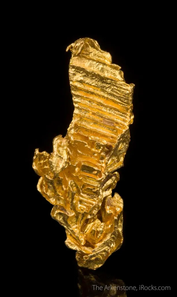 Gold - image 2