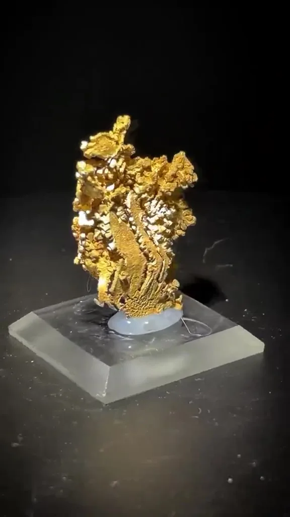 Gold - image 4