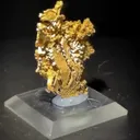 Gold - image 4