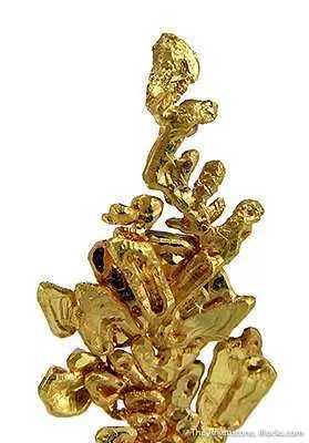 Gold - image 2
