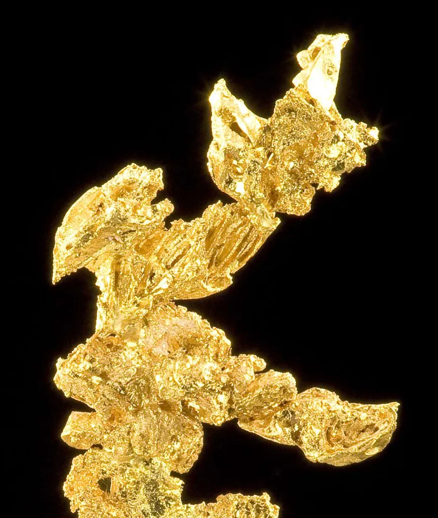 Gold - image 2