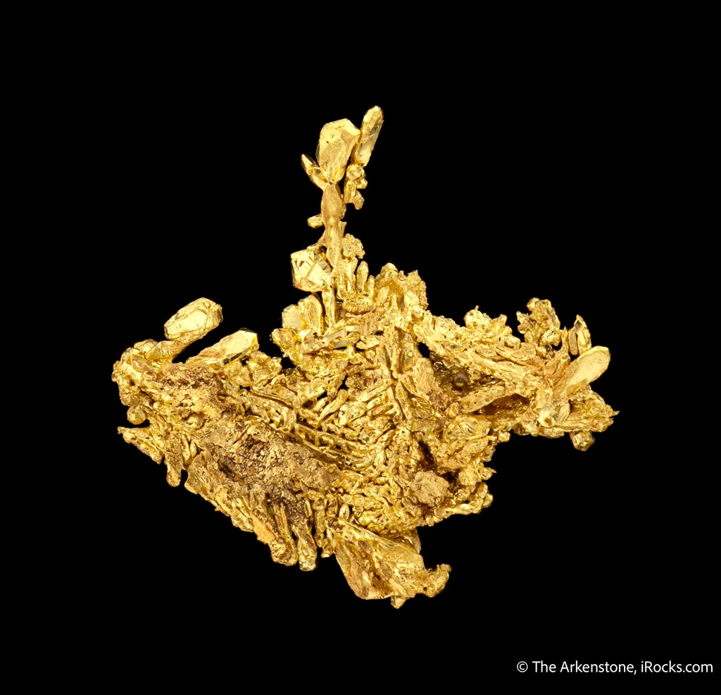Gold - image 6