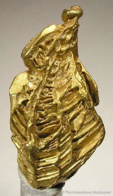 Gold - image 2