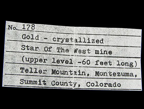 Gold - image 4