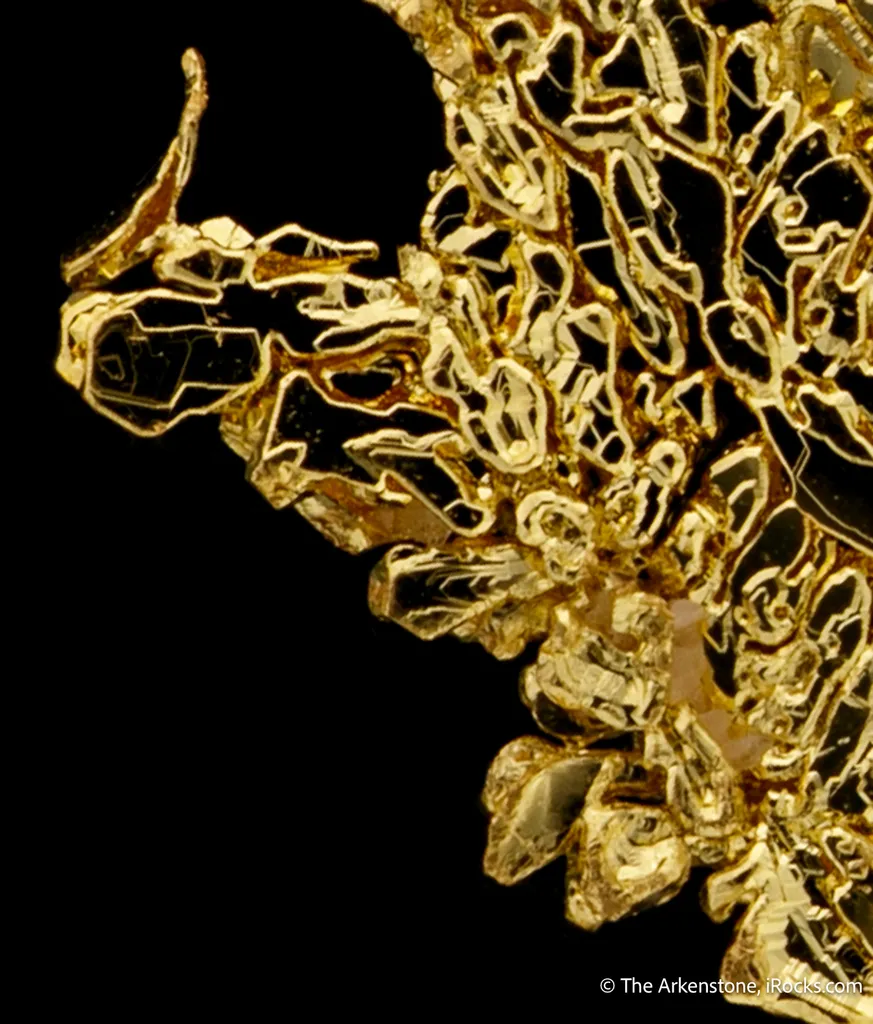 Gold - image 8