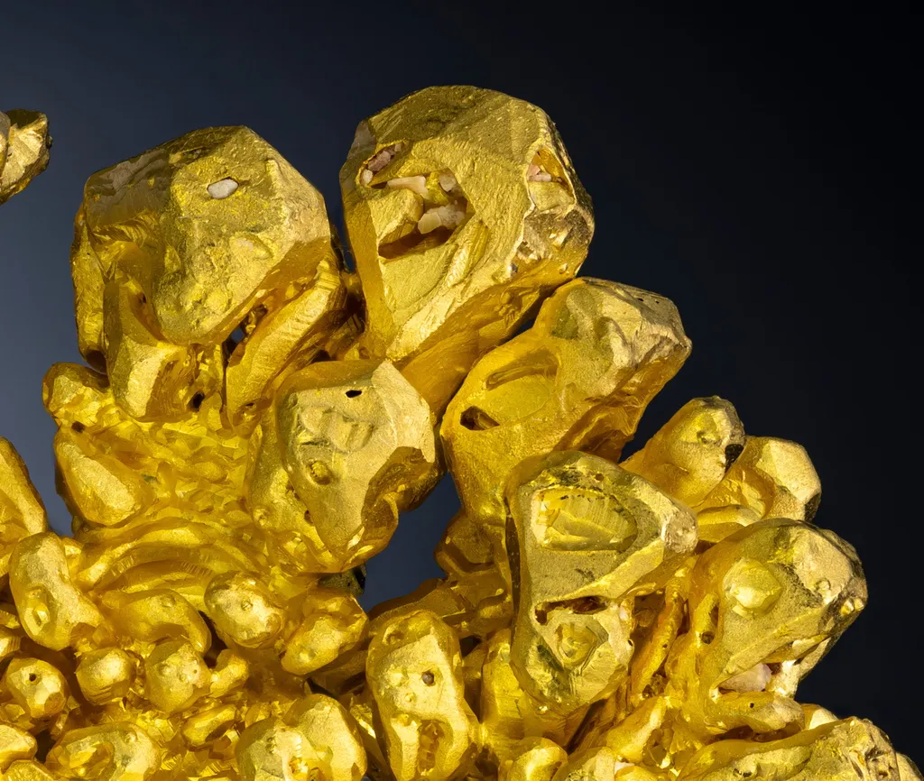 Gold - image 3