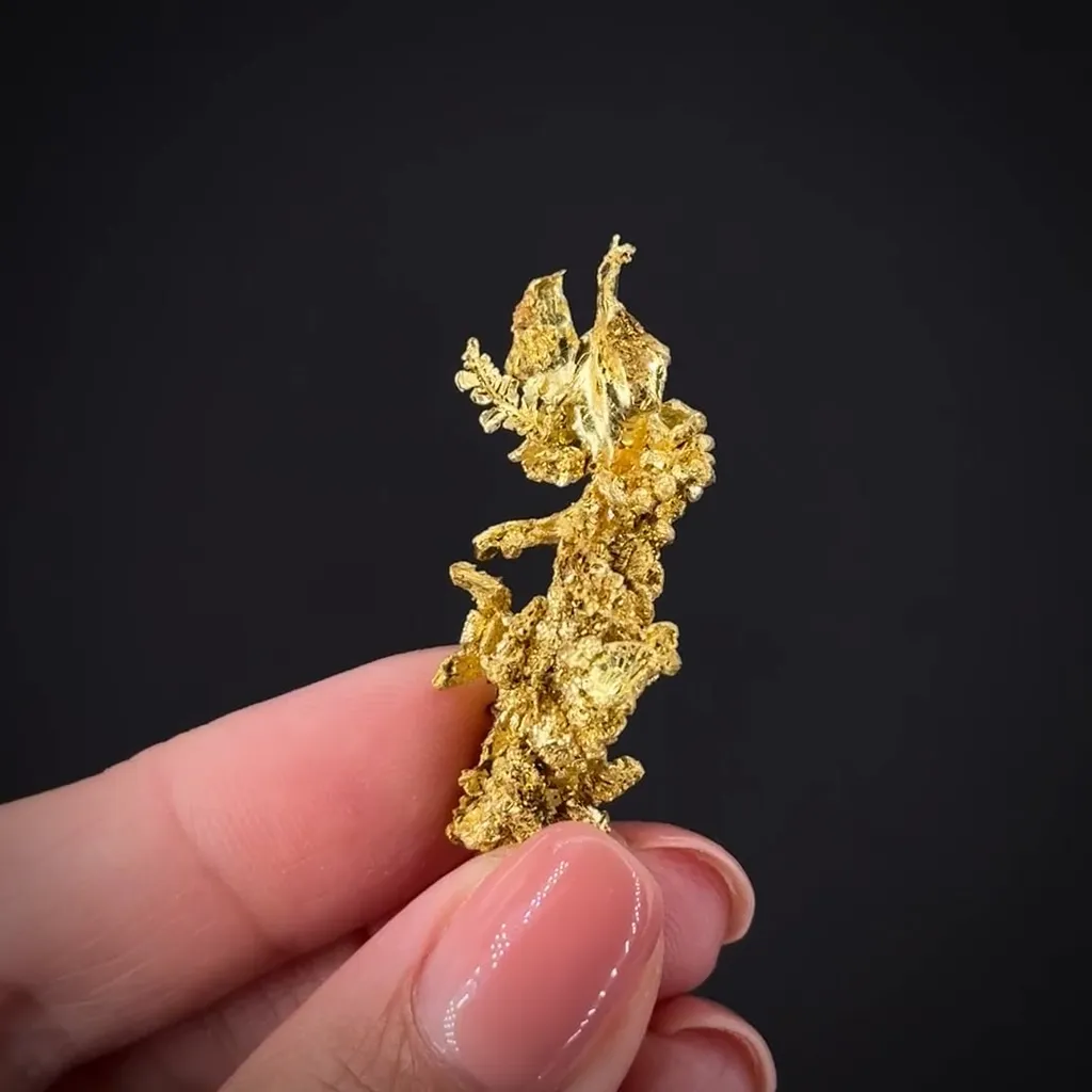 Gold - image 2
