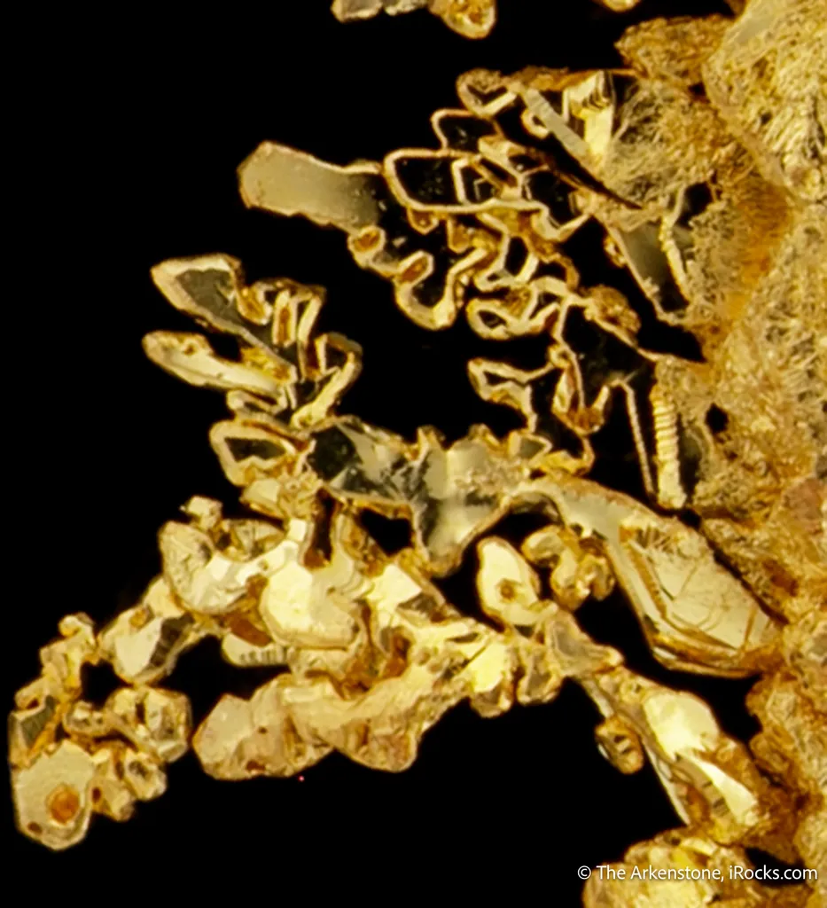 Gold - image 6
