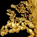 Gold - image 6
