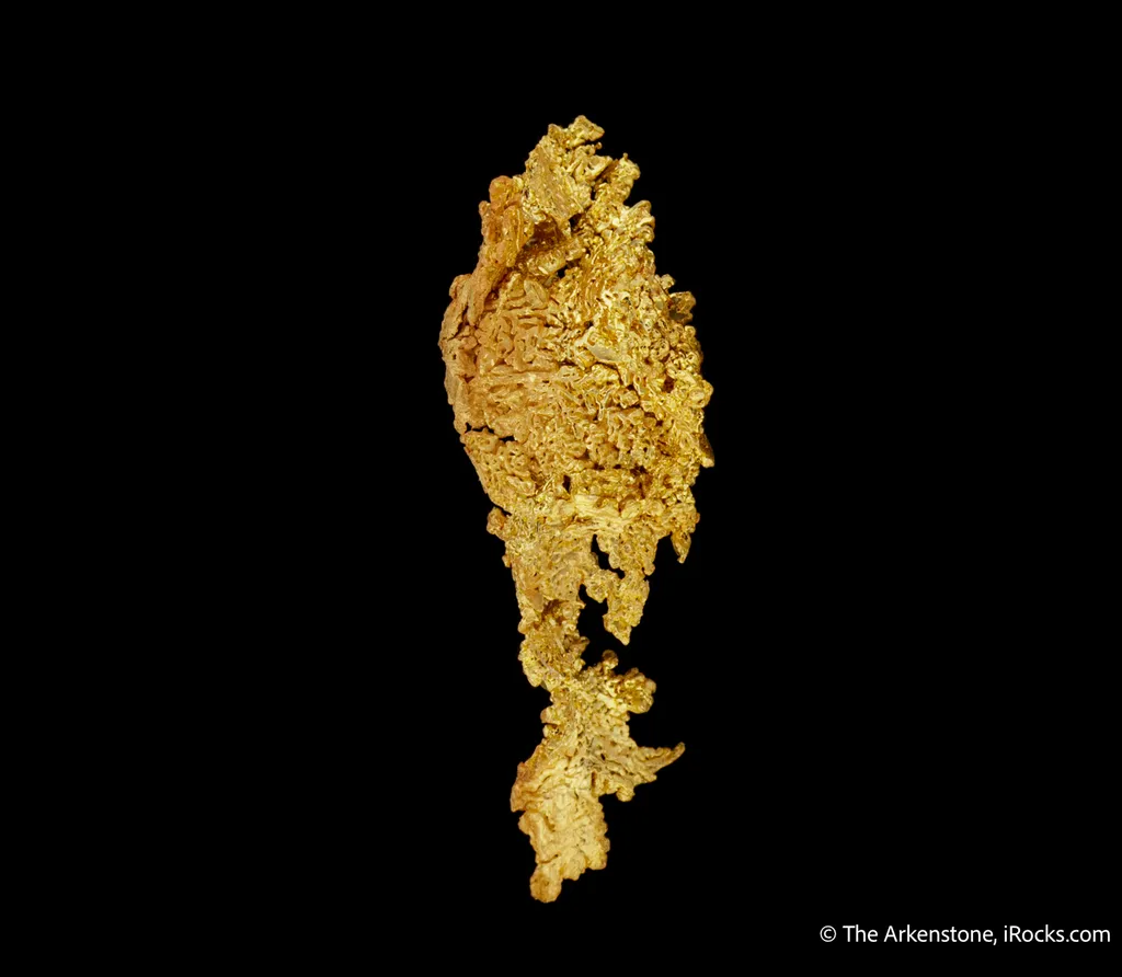 Gold - image 5