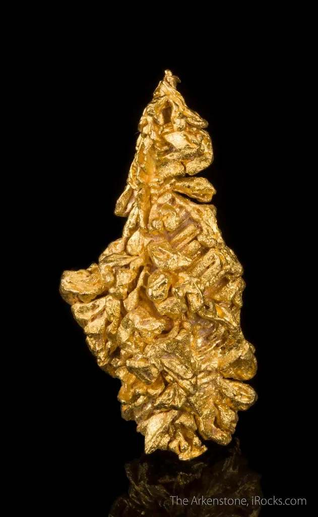 Gold - image 3