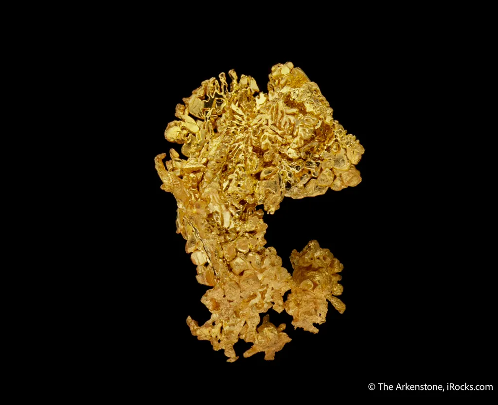 Gold - image 5