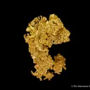Gold - image 5
