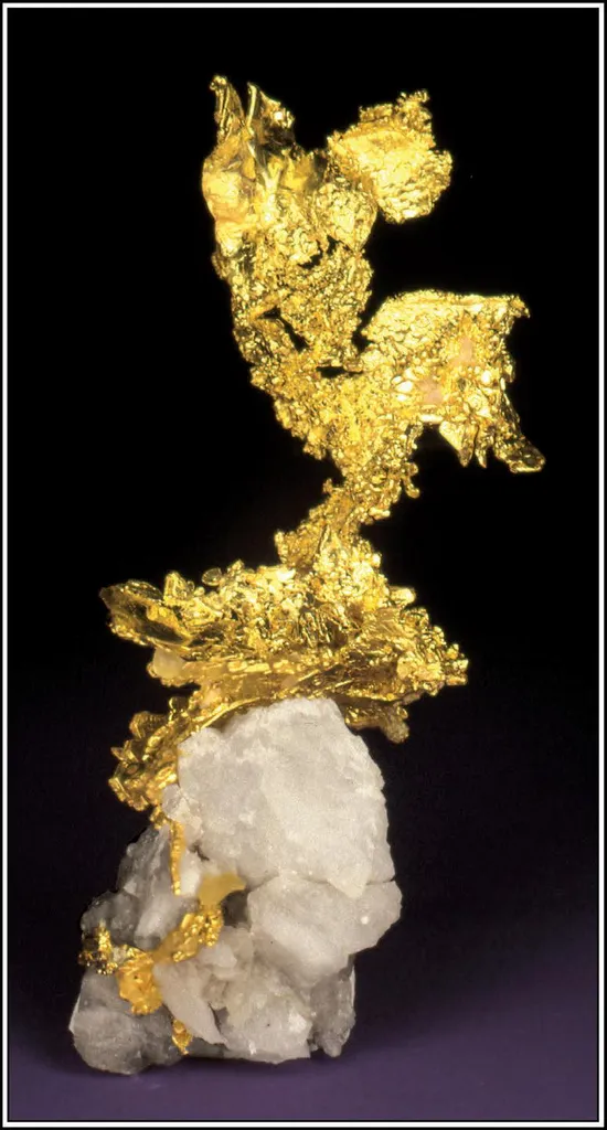 Gold image