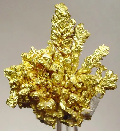 Gold image