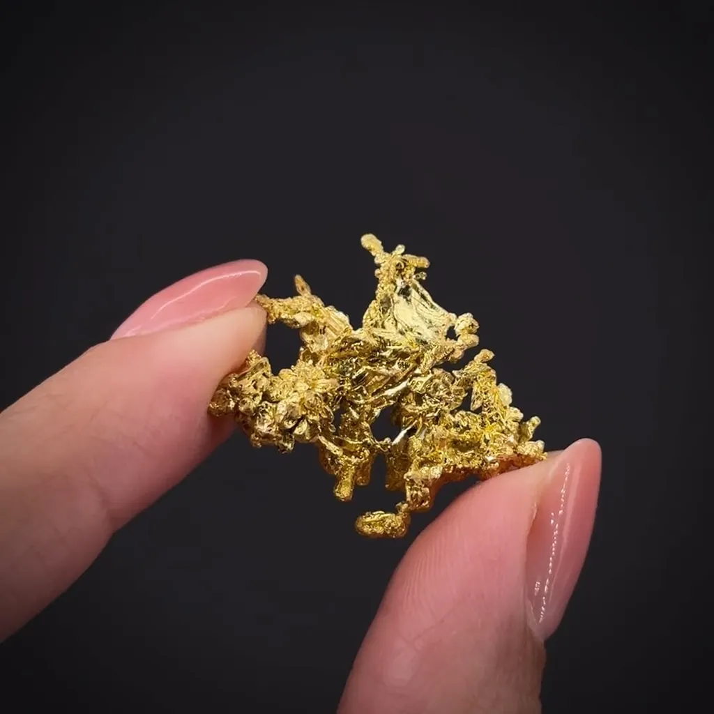 Gold - image 2