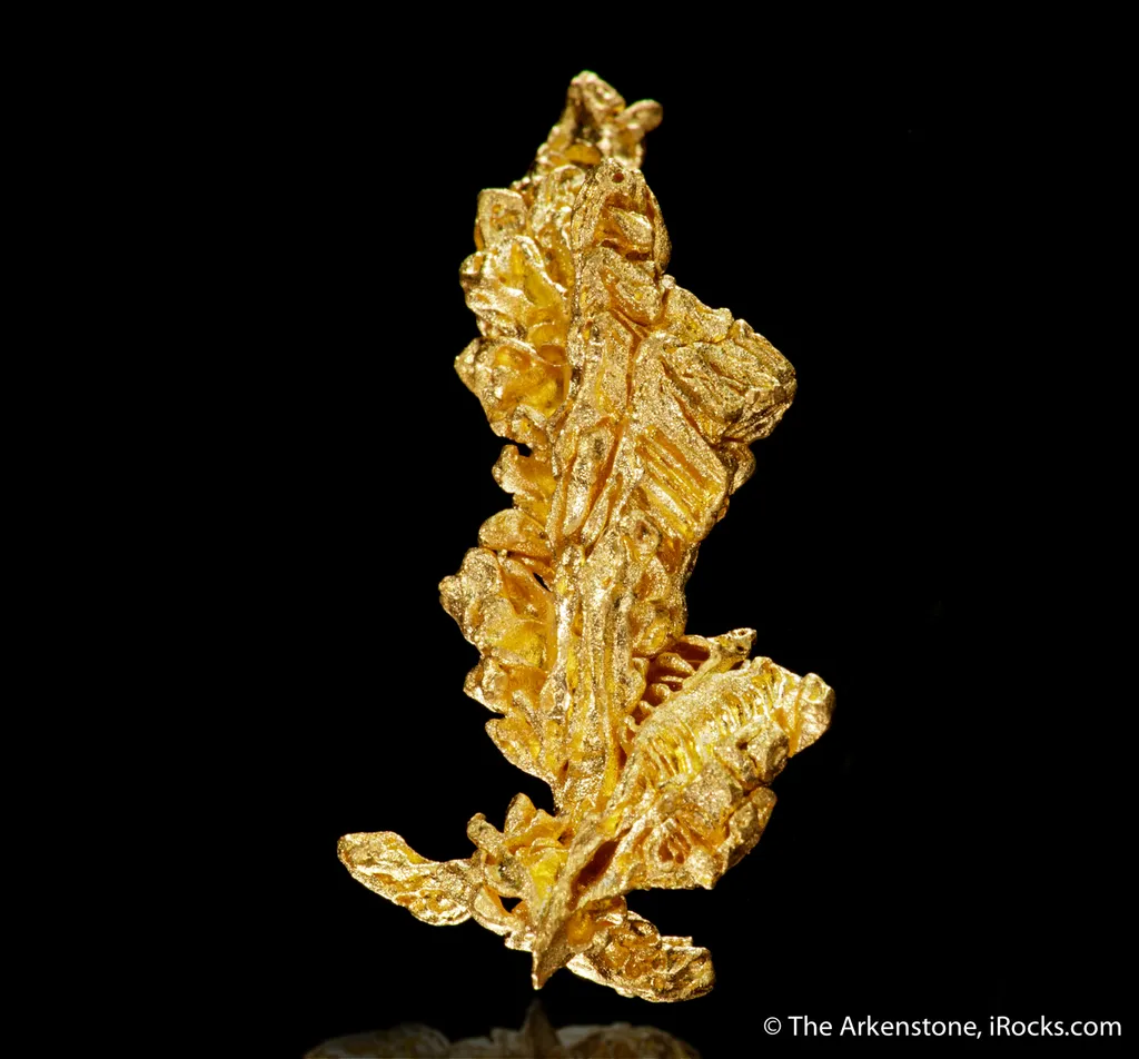 Gold - image 7
