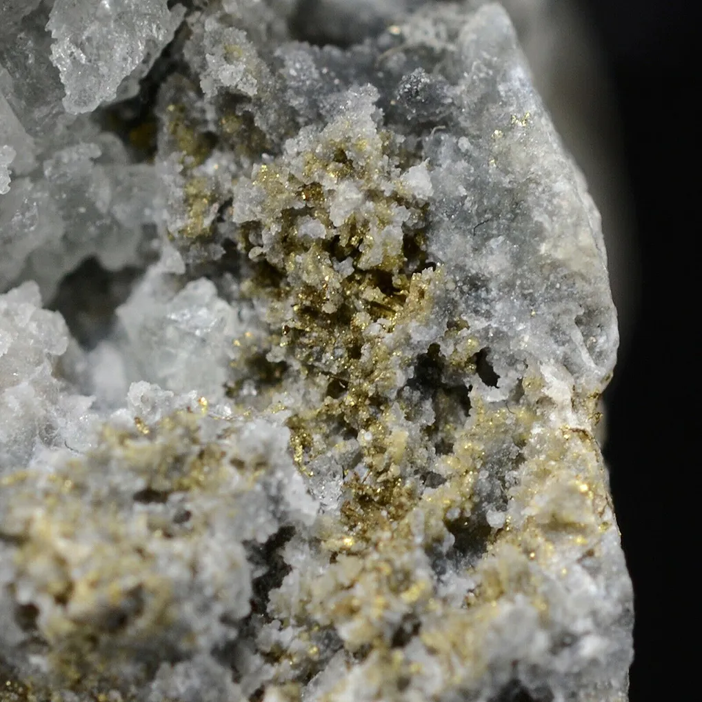 Gold - image 5