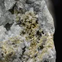 Gold - image 5