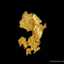 Gold - image 1