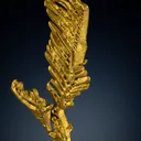 Gold “feather” from Zapata Claim, Venezuela - image 2