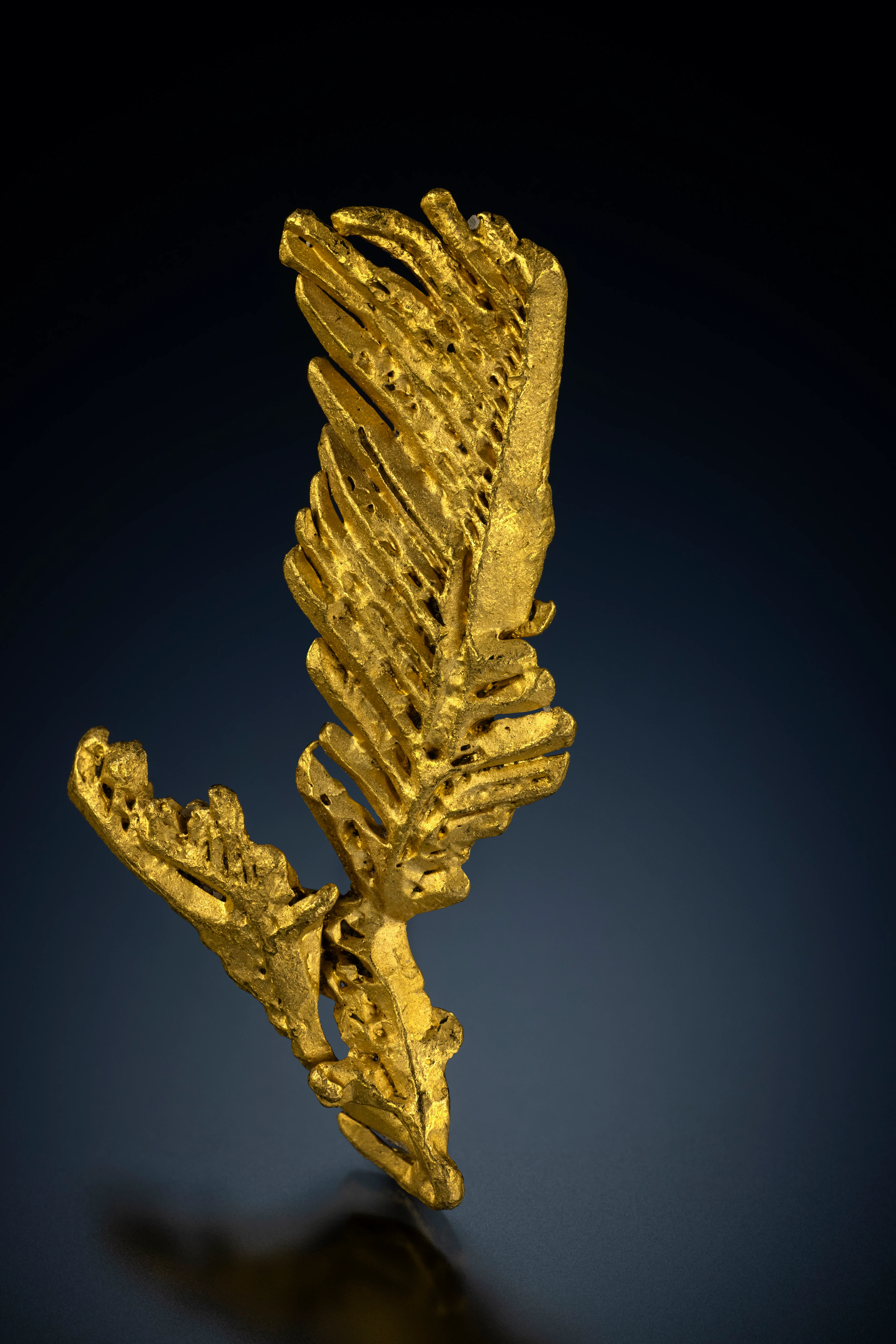 Gold “feather” from Zapata Claim, Venezuela - image 2