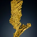 Gold “feather” from Zapata Claim, Venezuela - image 1