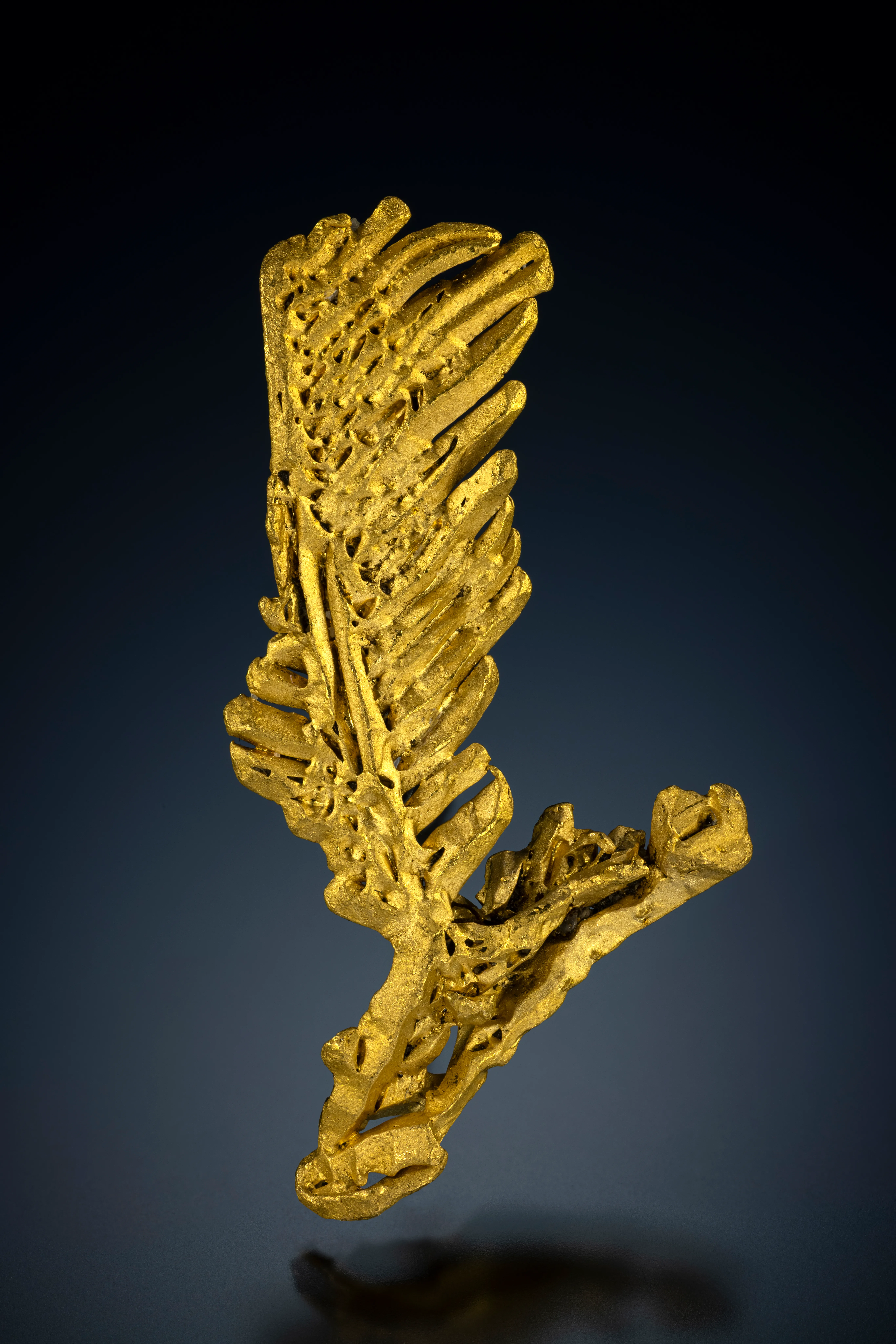 Gold “feather” from Zapata Claim, Venezuela - image 1