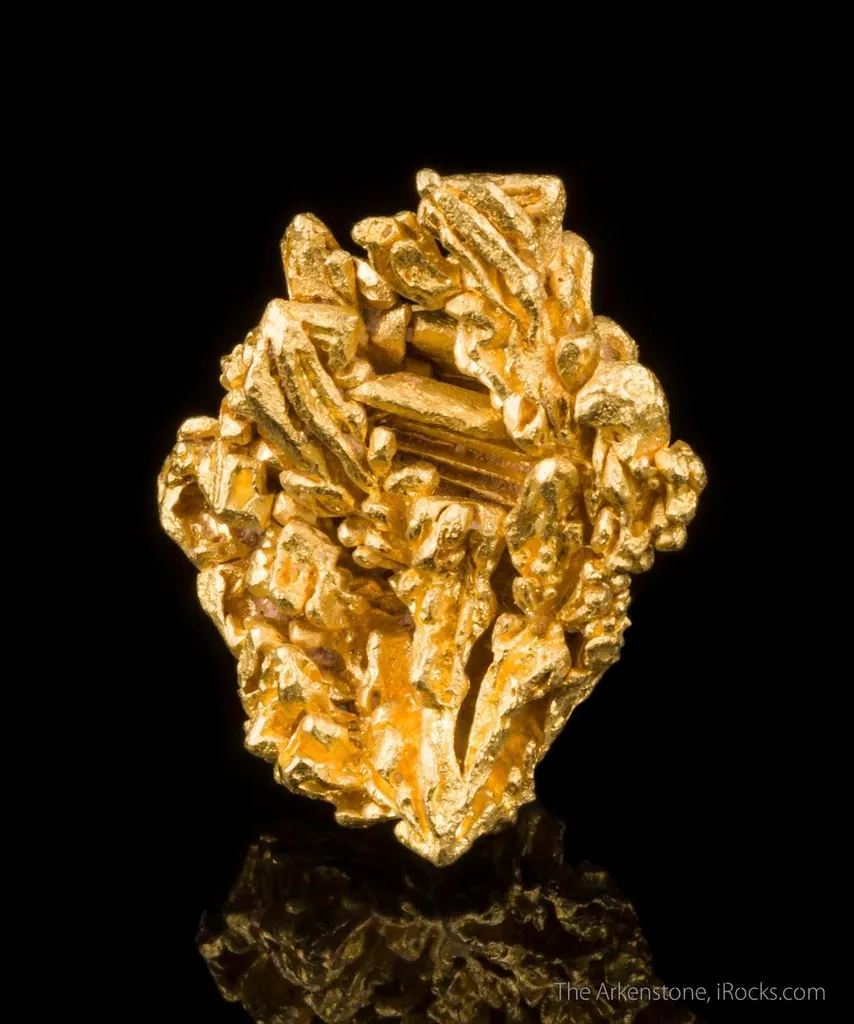 Gold - image 2