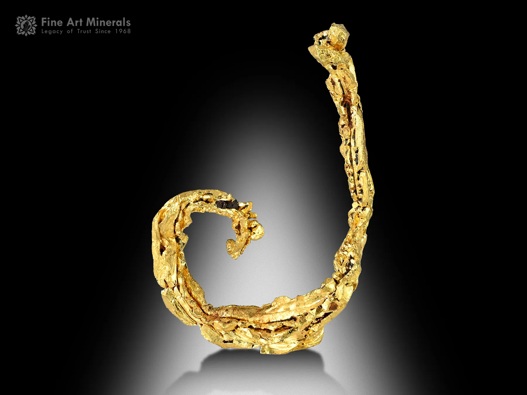 Gold from Assa Zag Province Morocco - image 2