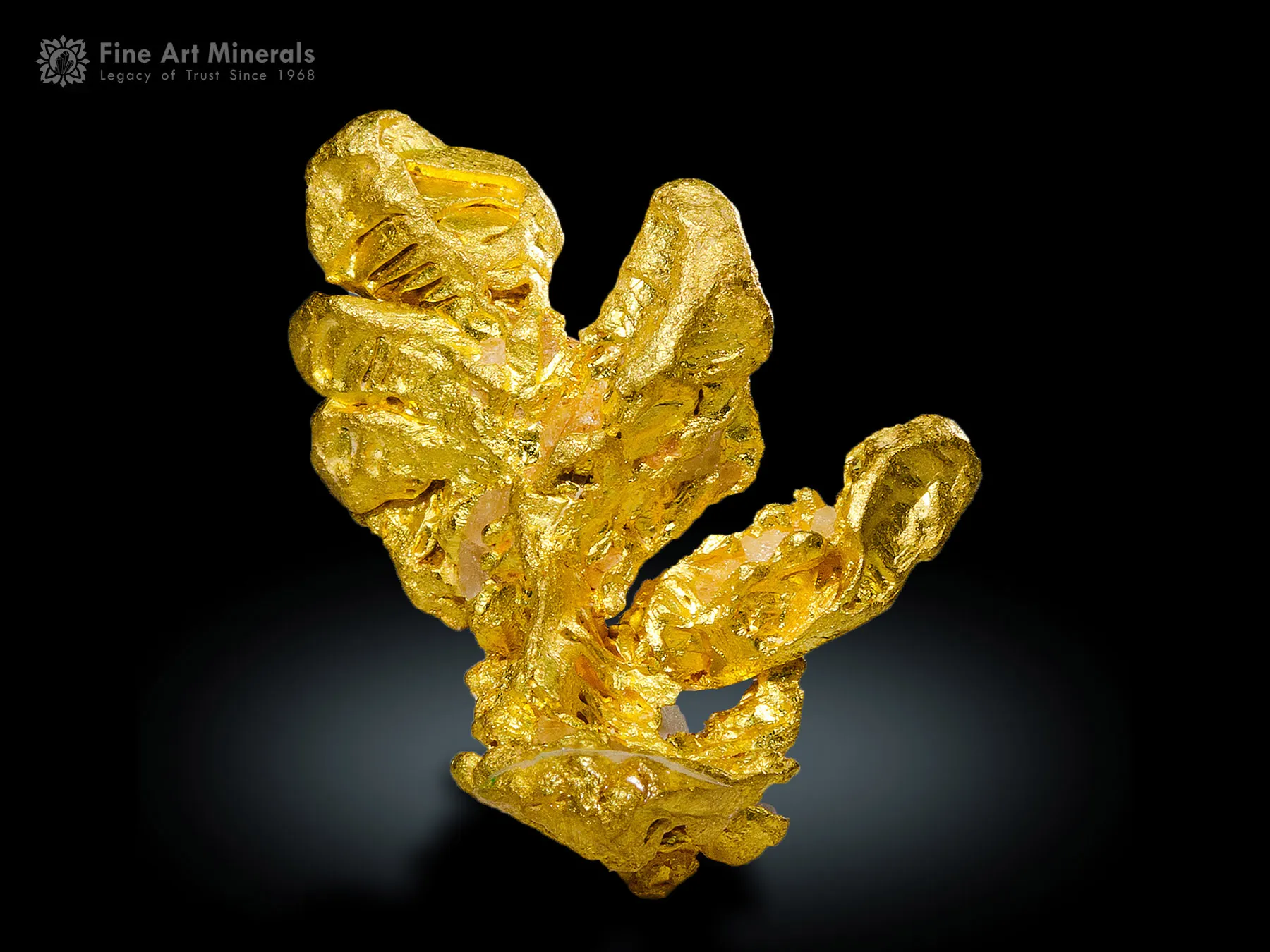 Gold from Brazil - image 1