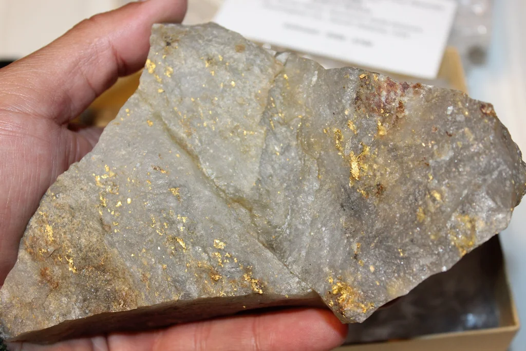 Gold from Holy Terror Mine, Keystone, Pennington County, South Dakota, USA - image 2