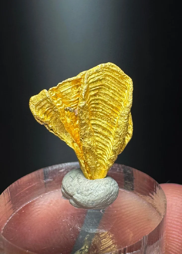 Gold from Kavanayen, Bolívar, Venezuela image