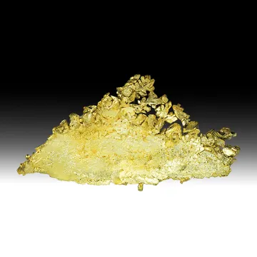 Gold from Round Mountain Mine, Virginia, USA