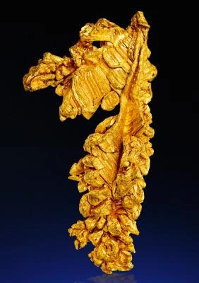 Gold from Serra do Caldeirão claims, Pontes e Lacerda, Mato Grosso, Brazil image