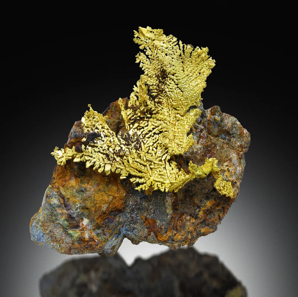Gold from USA, California, Mariposa County, Colorado Quartz mine