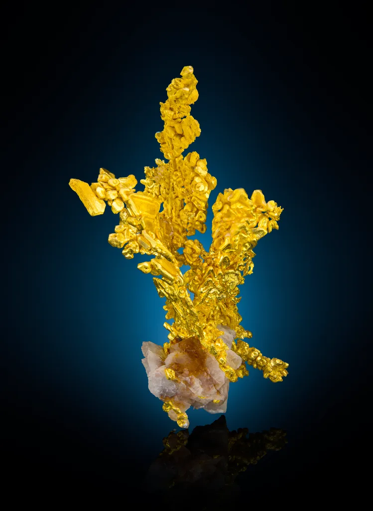 Gold from USA, California, Mariposa County, Colorado Quartz mine image