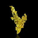 Gold from USA, California, Placer County, Michigan Bluff Mining District (Michigan Bluff Mining depo - image 3