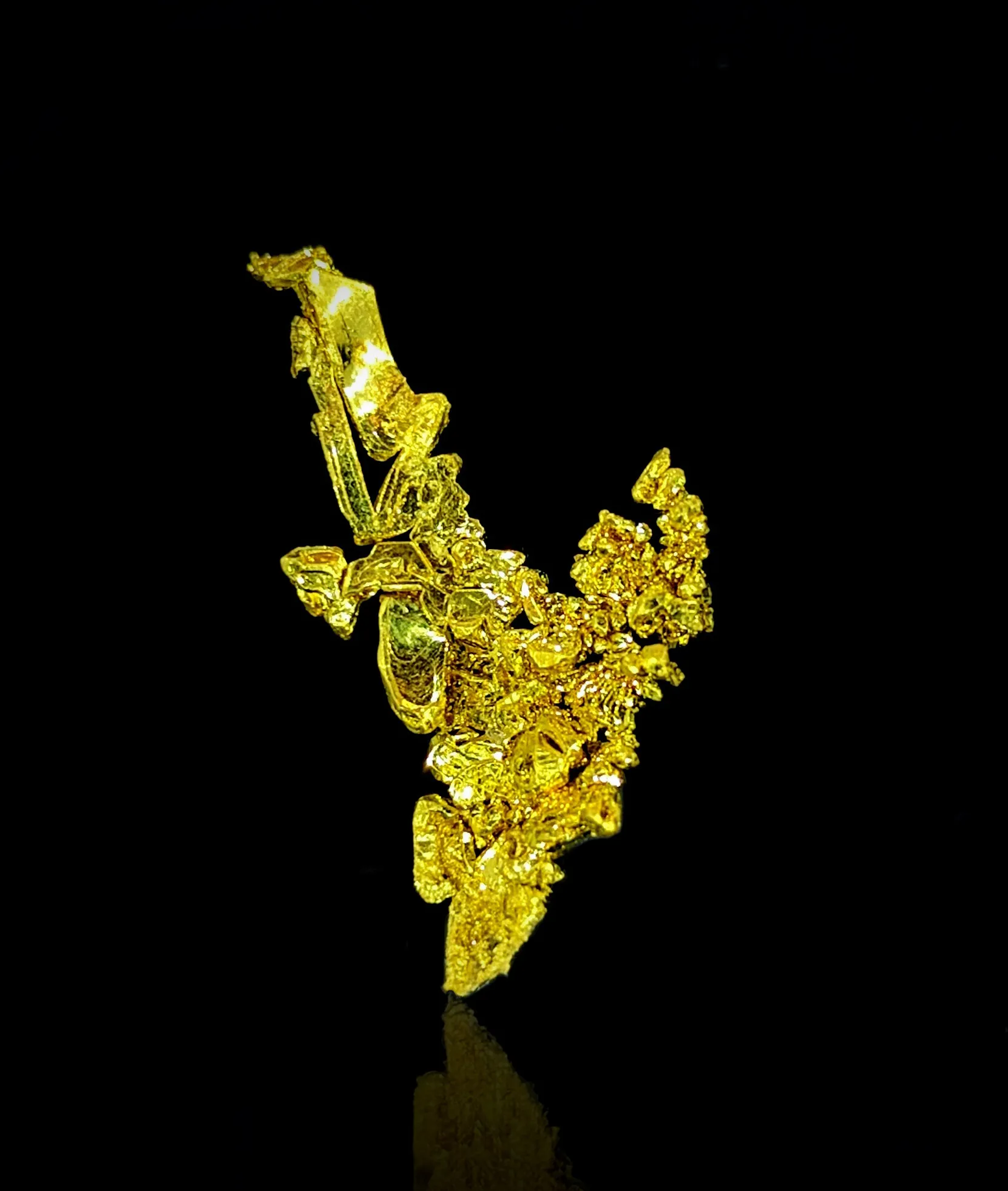 Gold from USA, California, Placer County, Michigan Bluff Mining District (Michigan Bluff Mining depo - image 3