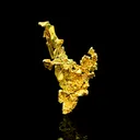 Gold from USA, California, Placer County, Michigan Bluff Mining District (Michigan Bluff Mining depo - image 1