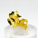 Gold from USA, California, Red Ledge Mine - image 1