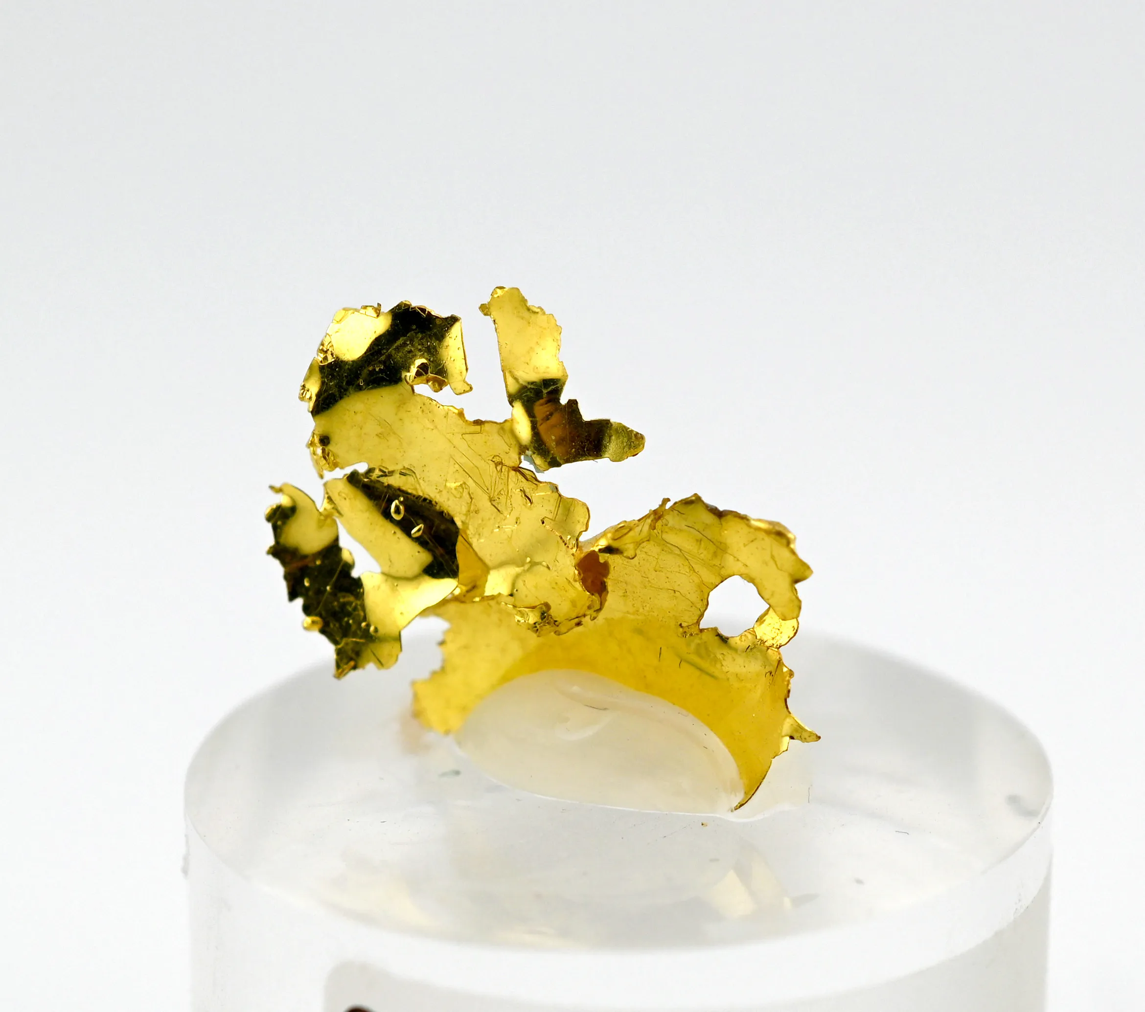 Gold from USA, California, Red Ledge Mine - image 1