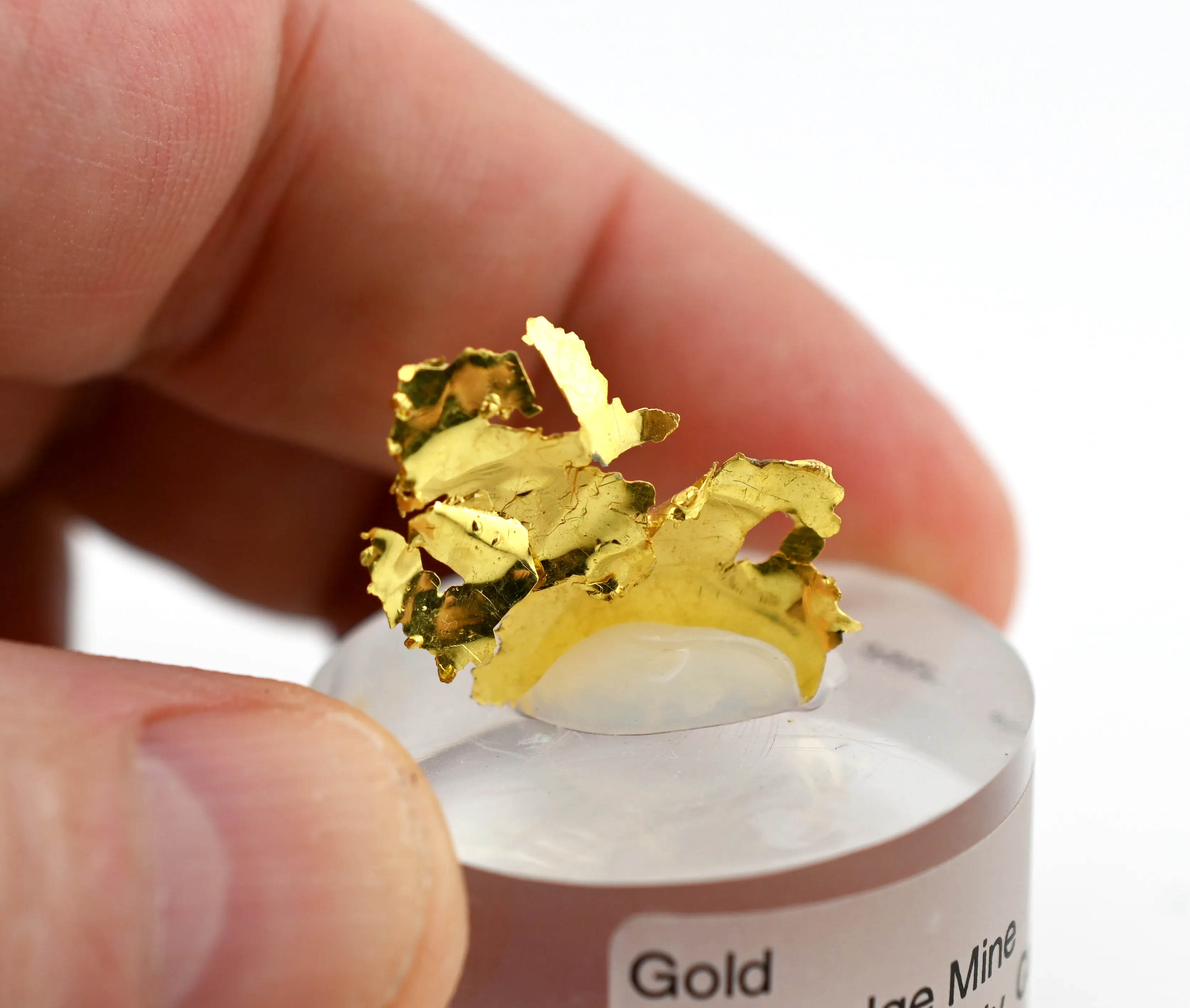 Gold from USA, California, Red Ledge Mine - image 2